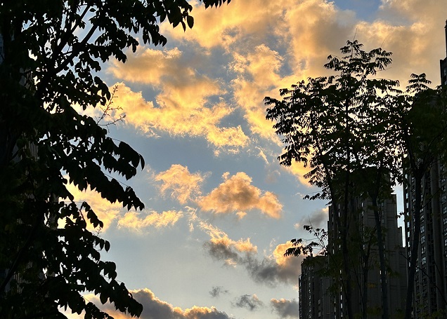 2025上半年，中國企業(yè)出海刷新全球副本：更猛、更強、更聰明