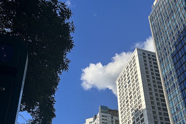 注冊(cè)巴林公司完整流程解析